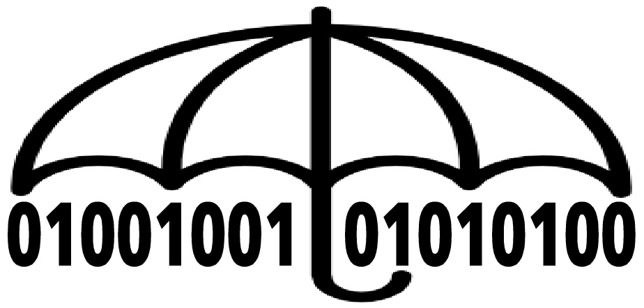 gdpr-bacau.protectit.ro